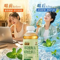 88VIP：九龙斋 薄荷酸梅汤乌梅汤植物饮料清凉解暑500ml*8瓶