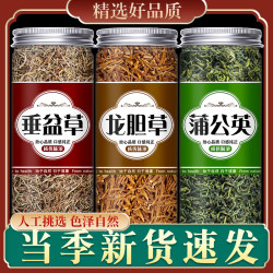 蒲公英龙胆草垂盆草正宗新鲜龙胆草泡水喝茶包婆婆丁干草垂盆草茶