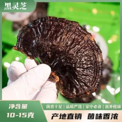 甄选长白山黑灵芝免洗灵芝整朵紫灵芝东北特产泡酒煲汤煮水炖鸡补