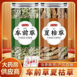 车前草夏枯草材车钱草夏谷草夏菇草可搭罗汉果仁煮水喝的精选