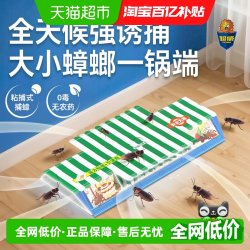 超威 6920174741872 超威蟑螂药捕蟑屋 4片