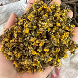 粤北山区阳山本地野生菊花100克起野菊花无磺货