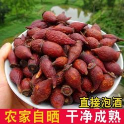 正品金樱子新鲜干货金婴子干果熟果金英子搭芡实泡茶泡水养生茶