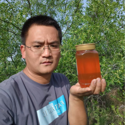 2025年新鲜头茬邢酸枣蜜四斤，野生蜜源植物，蜜汁浓稠花香浓郁