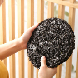 菓速源福建特产紫菜10大包干货无沙免洗食用霞浦紫特产菜蛋花汤