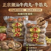 潮仙翁 潮汕牛肉丸 500g 火锅丸子