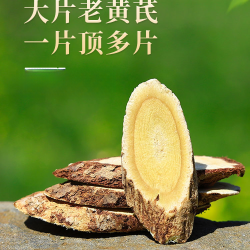 多年生甘肃黄芪主干大片净重250克黄芪产地直销