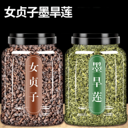 致恒堂 女贞子旱莲草泡茶泡水搭配枸杞子代茶饮干净原材料新鲜泡茶煮水喝