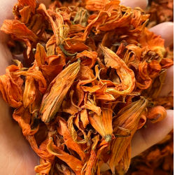云南高山高海拔 灵-芝-花----------------可搭配枸杞