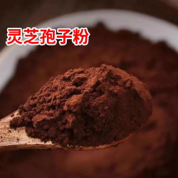 B农家高山自采灵芝孢子粉无添加正品孢子粉 250克