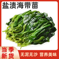 福建霞浦鲜嫩新鲜盐渍海带苗烫火锅凉拌海带清汤食材500g/袋营养