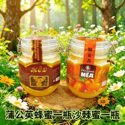 杰克熊 〔蒲公英蜜1瓶沙棘蜜1瓶〕精品卡扣蜂蜜蒲公英蜜沙棘蜜1000克