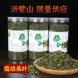 霜后桑叶新鲜桑树叶桑叶干泡水喝100g