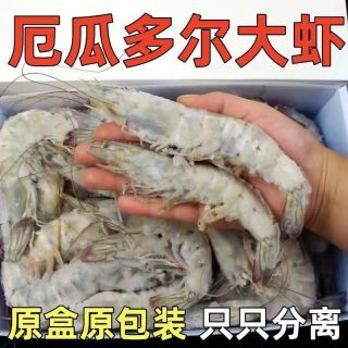林蓝螺厄瓜多尔海洋大虾30规格1.5KG（包冰≤%10)(40到50只/盒）