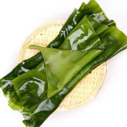 新海带饭包菜带箱5斤