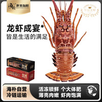海朴 进口生冻龙虾礼盒送礼高端海鲜礼盒400克起春节年夜饭zb
