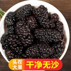 黑桑葚干 新货头茬精选正宗新疆桑葚干个大饱满干净无沙