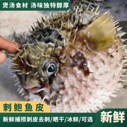 西沙群岛刺鲍鱼皮/冰鲜的/晒干的/两种品种可选/1斤装-8斤装