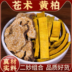 黄柏苍术龙胆草牛膝组合原料无硫养生滋补泡水泡茶喝