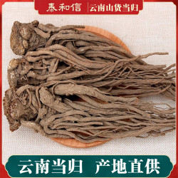 云南当归下山货 整棵当归 助农山货 深山采挖自然晾晒