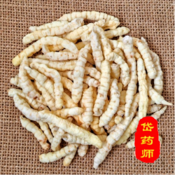 甄选白虫草干货可泡水搭配白虫草干货