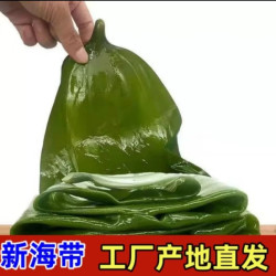大连特产新鲜嫩鲜海带4.6斤