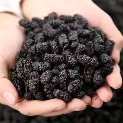 艾农人 云南现收桑椹干 自然晾晒 干净无沙即食 泡水泡酒 农产品