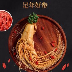 正宗东北人参泡酒专用整只保鲜参200g-600g特大参滋补营养佳品
