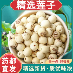 莲子新鲜通心白莲去芯无芯莲百合组合特产银耳莲子羹