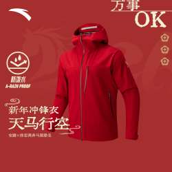 安踏 徐悲鸿联名冲锋衣奔马图新年男女同款风暴甲防风