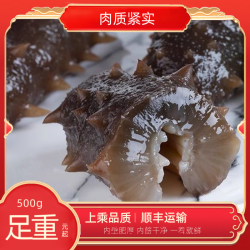 即食海参大连好海参辽参高品质刺参8-10头/500g