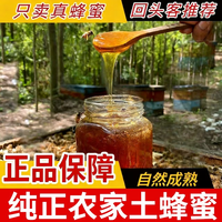 4斤装支持检测试吃深山土蜂蜜百花自然成熟压榨蜜