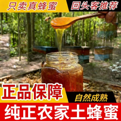 4斤装支持检测试吃深山土蜂蜜百花自然成熟压榨蜜