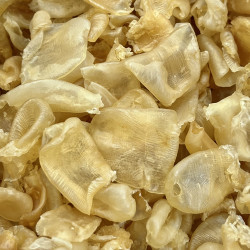 珍珠胶鱼胶石斑肚厚肉胶质满满