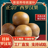 10个独立包装枸杞茶新鲜饱满清甜新货