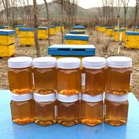 a沂蒙山土蜂蜜10瓶a