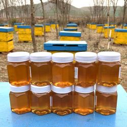 a沂蒙山土蜂蜜10瓶a