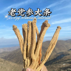 大山踩挖多年生老党参长条 甘肃岷县原产地发货250g