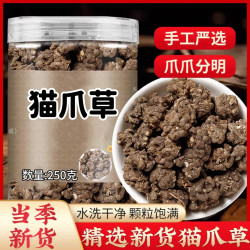 猫爪草正品水洗非野生猫抓草猫爪茶可搭配夏枯草