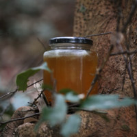云南高山野生大挂蜂树挂蜜 500 克顺丰包邮