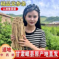 正宗党参条党参段甘肃岷县道地中药材原产地大条新货自然晾晒煲汤