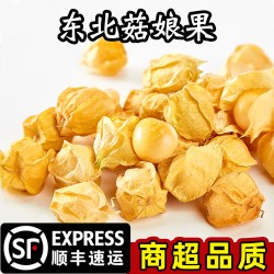 品鲜食光 东北姑娘果特产水果新鲜当季整箱灯笼果黄菇娘洋姑娘果大果甜菇凉