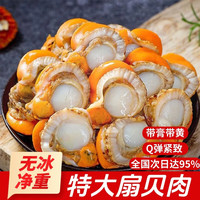 添渔港 无冰特大号扇贝肉 大号2斤无冰款