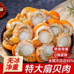 添渔港 无冰特大号扇贝肉 大号2斤无冰款