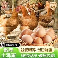 岗淮 鸡蛋土鸡蛋正宗农家散养新鲜批发生鲜虫草笨鸡蛋乌鸡蛋无抗整箱