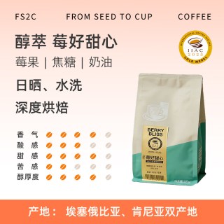 FS2C IIAC金奖进阶款 阿拉比卡咖啡豆 印尼+埃塞拼配 227g/袋