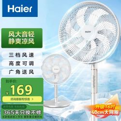 海尔 电风扇落地扇家用定时遥控风扇大风力台扇立式节能摇头稳固底盘电扇办公卧室宿舍循环轻音