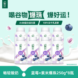 伊利 畅轻酸奶燕麦青提紫米爆珠低温酸奶 蓝莓紫米爆珠