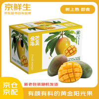 京鲜生 攀枝花凯特芒 5斤装 大果 单果700g 新鲜水果