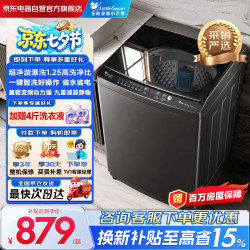 小天鹅 波轮洗衣机全自动家用大容量 10KG 直驱变频 高洗净比  TB100V26DT